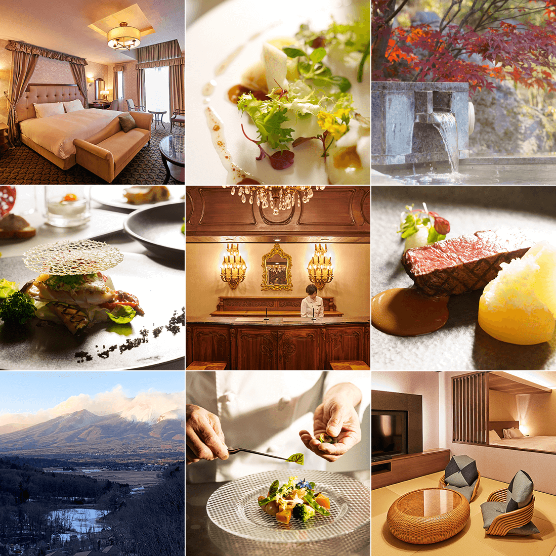 フォトギャラリー