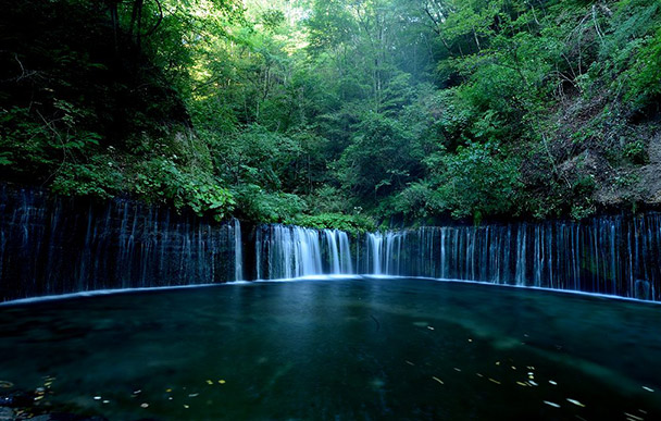 白糸の滝 白糸の滝